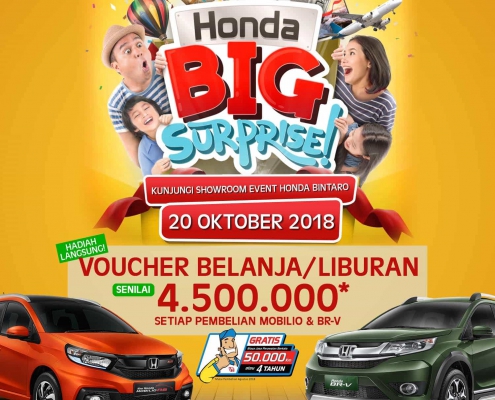 Honda Big Surprise