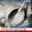 Throttle Body Mobil: Fungsi dan Cara Kerja
